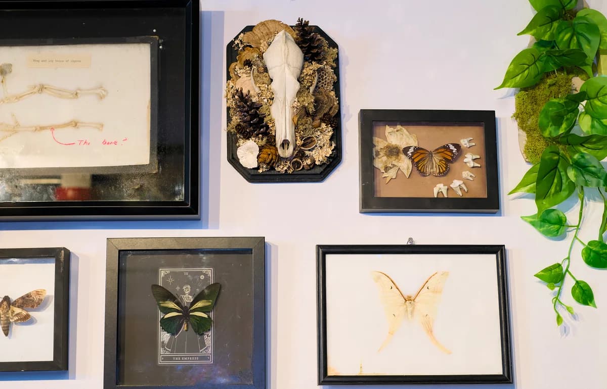 Reliquary studio wall